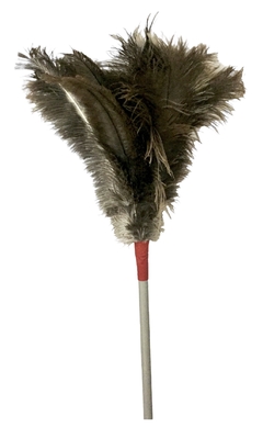 Plumero de Pluma Natural - comprar online