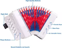 Acordeon infantil 1pz en internet