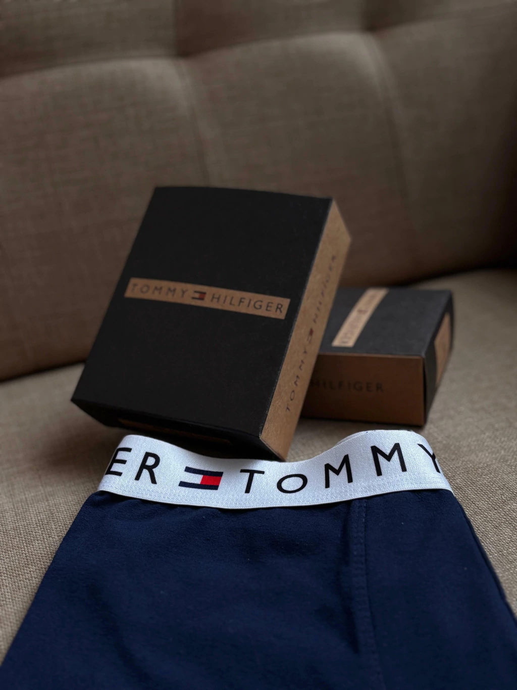 Boxer | Tommy