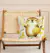 almohadon capybara - tienda online