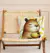 Imagen de almohadon capybara
