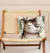 almohadon capybara - comprar online