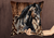 almohadones caballos - comprar online