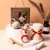 Kit Presente De Banho Baby Gift Set para Recém-nascido - comprar online