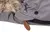 Saco Universal Inverno Para Carrinho De Bebê | 0-36 meses - BABY CLOSET