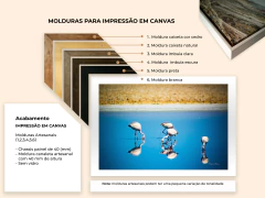 Image of Pink Flamingos, Atacama Desert
