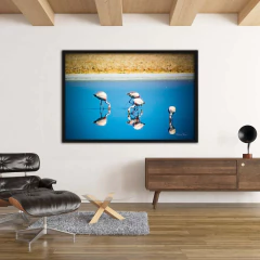 Pink Flamingos, Atacama Desert - Quadros Exclusivos - Decoração Fine Art para seu ambiente | Planeta em Fotos