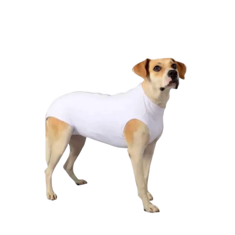 ROUPA POS CIRURGICA UNISSEX N.11 visto