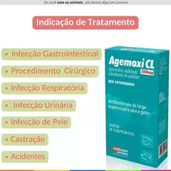 AGEMOXI 250MG - comprar online