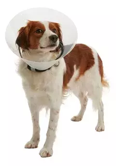 COLAR ELIZABETANO N°2 ASTROPET
