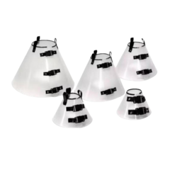 COLAR ELIZABETANO N°7 PET PLUS visto
