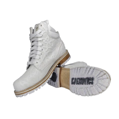 Imagen de Modelo Rocky