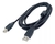 Cabo de Impressora 3m - comprar online
