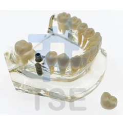 simulador dental precio 