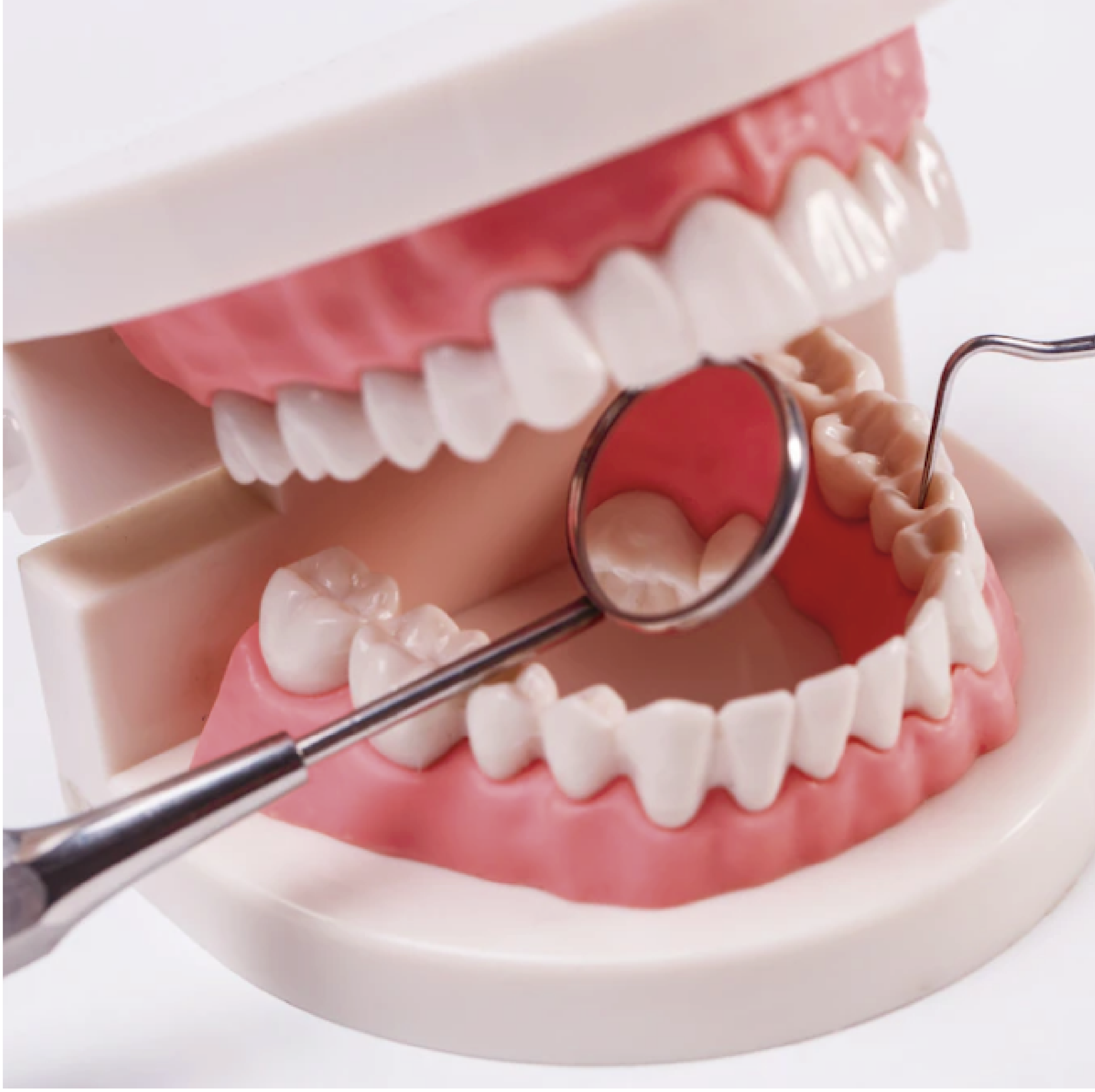 Simulación Dental
