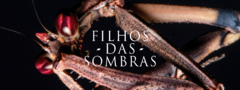 Banner da categoria Filhos das Sombras