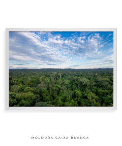 Amazônia Ancestral - Ocelo Ecostudio