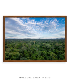 Imagem do Amazônia Ancestral