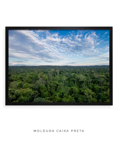Amazônia Ancestral