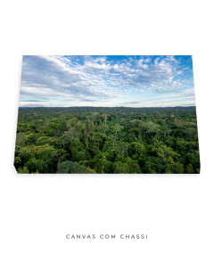 Amazônia Ancestral - Ocelo Ecostudio