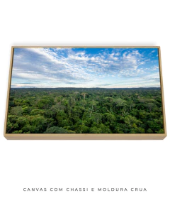 Amazônia Ancestral - comprar online