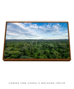 Amazônia Ancestral na internet