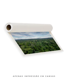 Amazônia Ancestral
