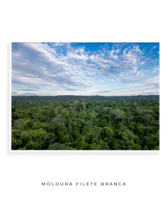 Amazônia Ancestral