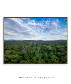 Amazônia Ancestral - Ocelo Ecostudio