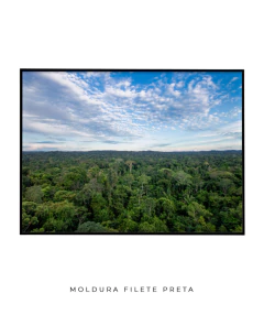 Amazônia Ancestral - loja online