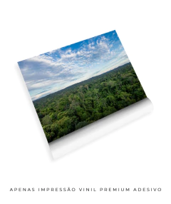 Amazônia Ancestral - comprar online