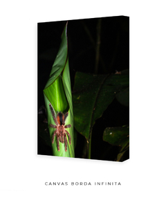Arquitetura Tropical - comprar online