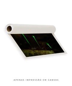 Bioluminescência