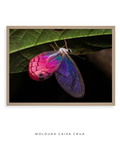 Borboleta Rosa Vitral - loja online