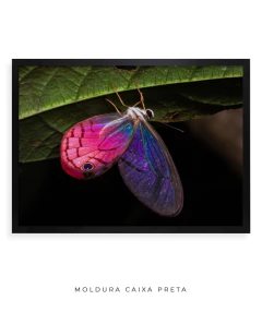 Borboleta Rosa Vitral