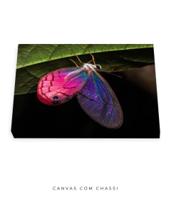 Borboleta Rosa Vitral - loja online