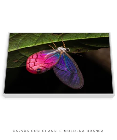 Borboleta Rosa Vitral