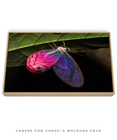 Borboleta Rosa Vitral - comprar online