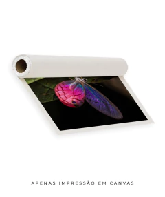 Borboleta Rosa Vitral