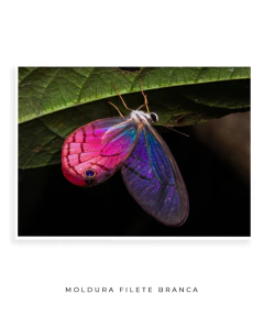 Borboleta Rosa Vitral - comprar online