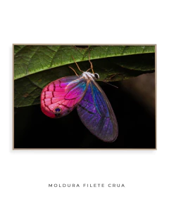 Borboleta Rosa Vitral na internet