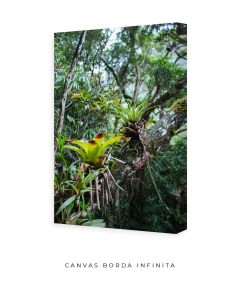 Caminhos Atlânticos - comprar online