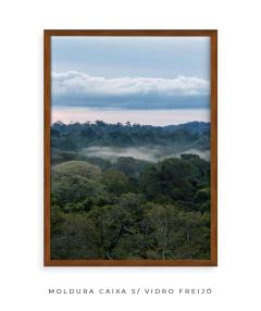 Imagem do Quando a Neblina Surgiu no Poente