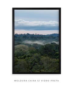Quando a Neblina Surgiu no Poente