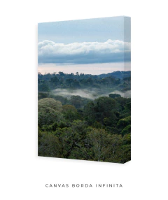 Quando a Neblina Surgiu no Poente - comprar online
