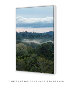 Quando a Neblina Surgiu no Poente na internet
