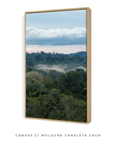 Quando a Neblina Surgiu no Poente - Ocelo Ecostudio