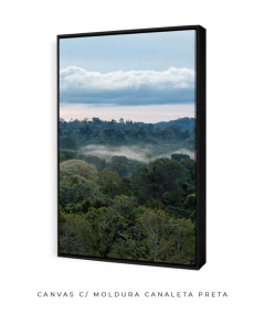 Imagem do Quando a Neblina Surgiu no Poente