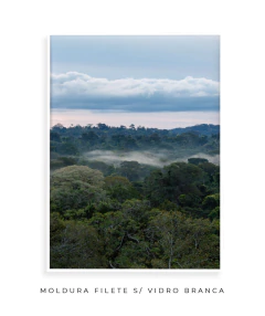 Quando a Neblina Surgiu no Poente - comprar online