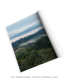 Imagem do Quando a Neblina Surgiu no Poente